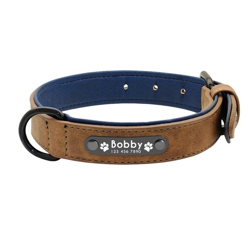 Collier pour Chien Personnalisé | LoveCollar