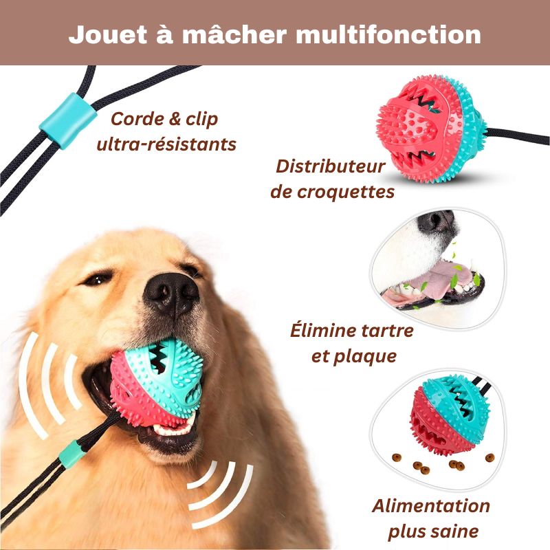Jouet ventouse pour chien | TuggyFun
