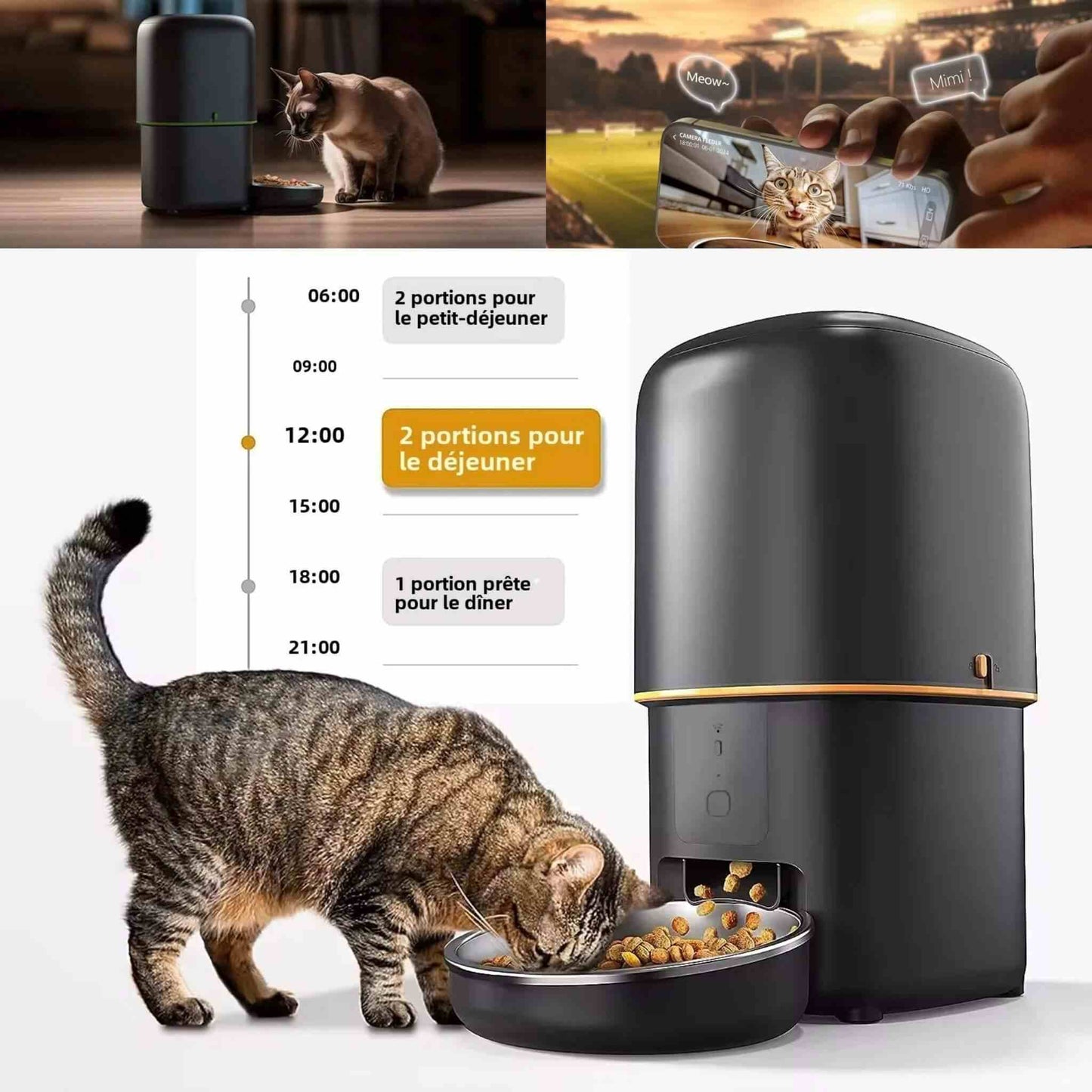 Distributeur de croquettes chat