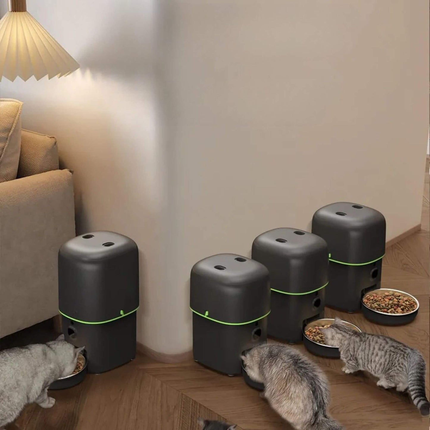 Distributeur de croquettes chat
