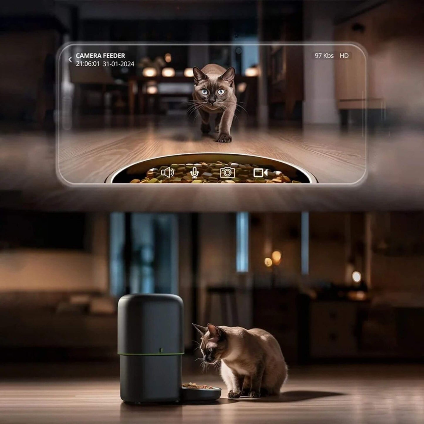Distributeur de croquettes chat