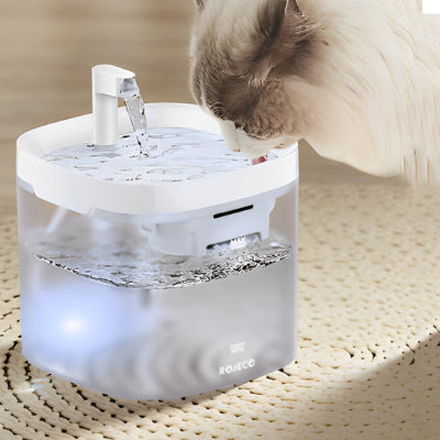 Fontaine à eau chat - transparente