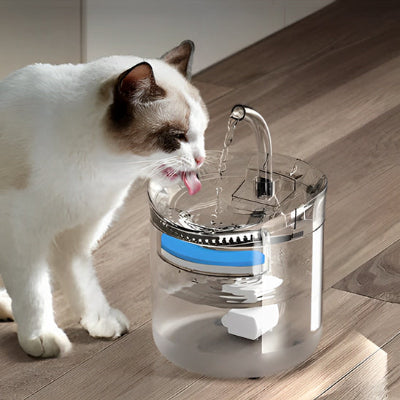 Fontaine à eau chat - Silencieuse