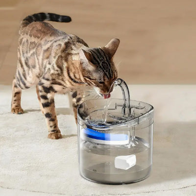 Fontaine à eau chat - Silencieuse