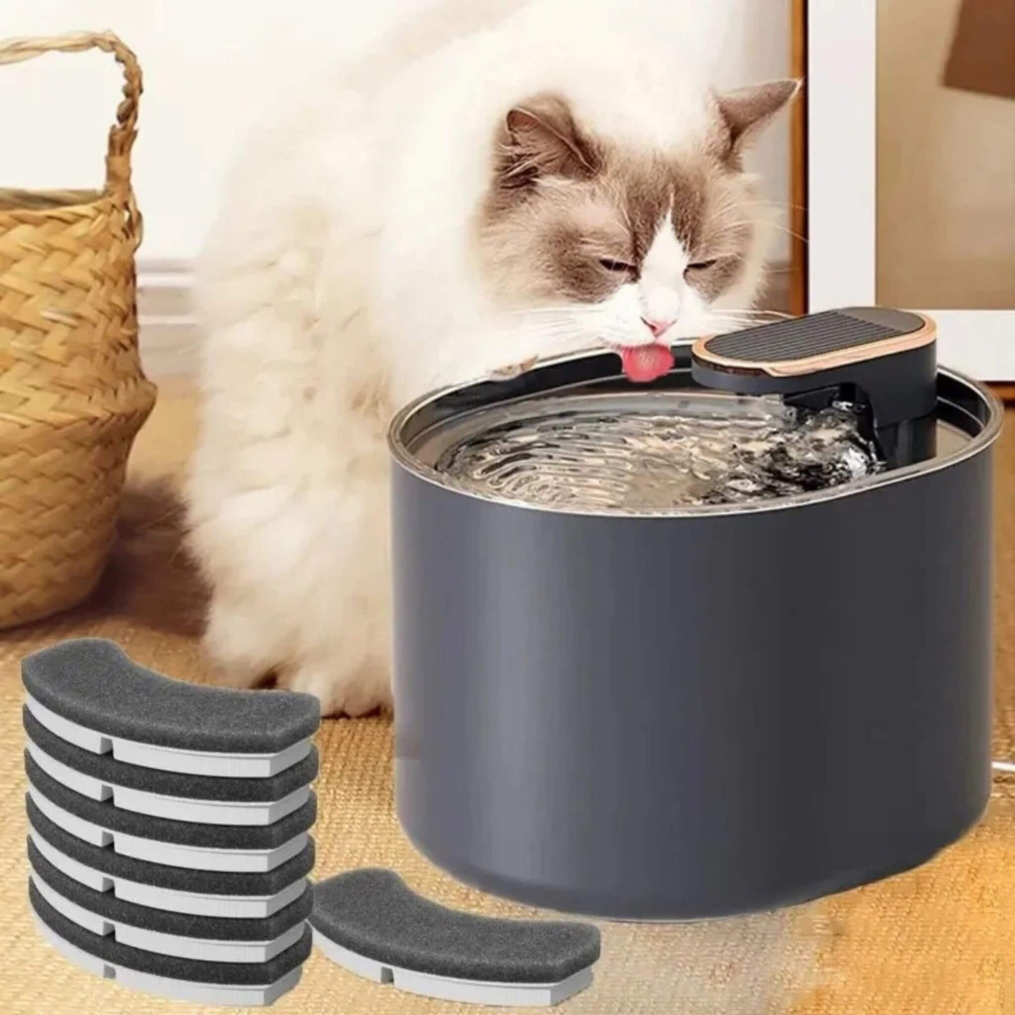 Fontaine à eau pour chat
