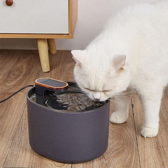 Fontaine à eau pour chat