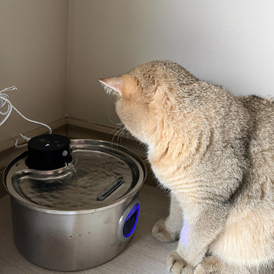 Fontaine a eau pour chat - capteur intégré