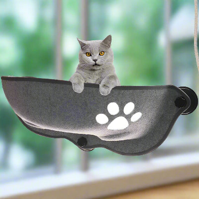 Hamac chat| Greypaw™