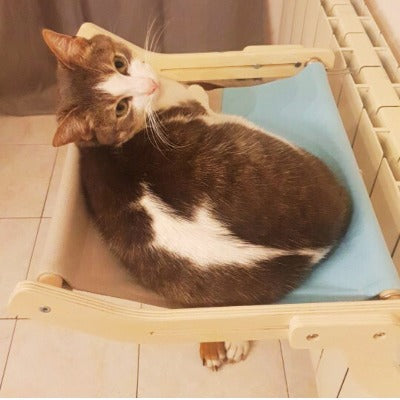 Hamac pour chat