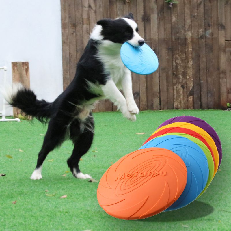 Frisbee pour chien | PowerFly