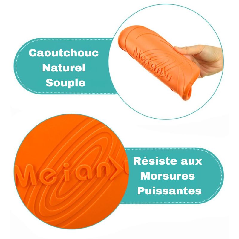 Frisbee pour chien | PowerFly
