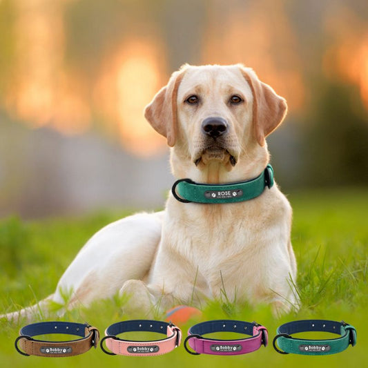 Collier pour Chien Personnalisé | LoveCollar