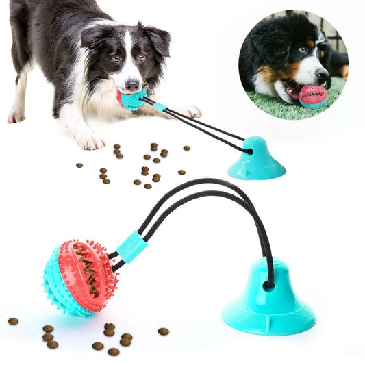Jouet ventouse pour chien | TuggyFun