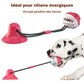 Jouet ventouse pour chien | TuggyFun