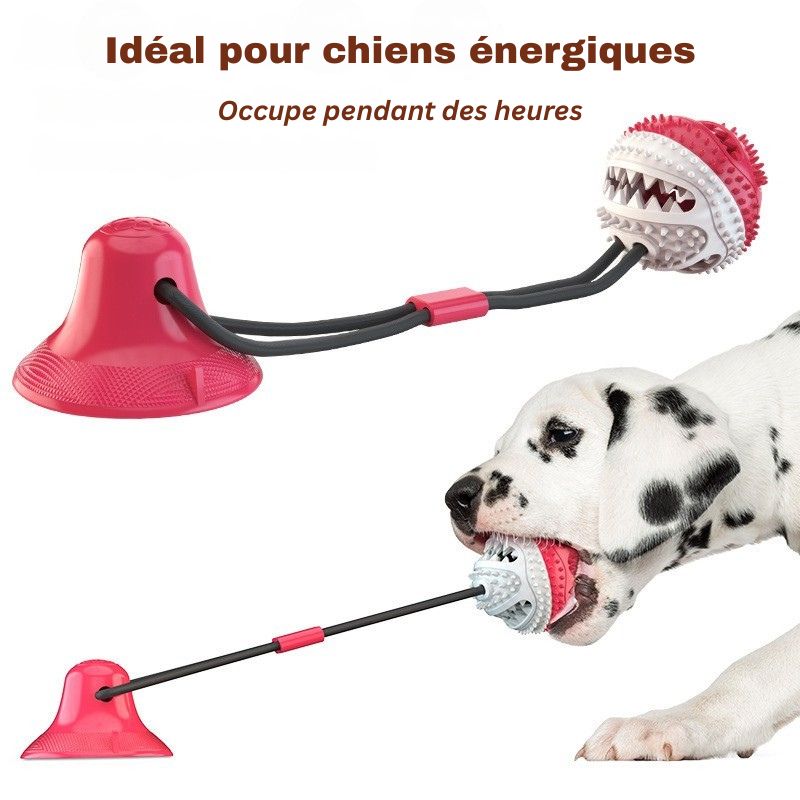 Jouet ventouse pour chien | TuggyFun