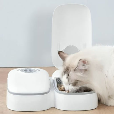 Distributeur automatique de croquettes pour chat - Minuteur