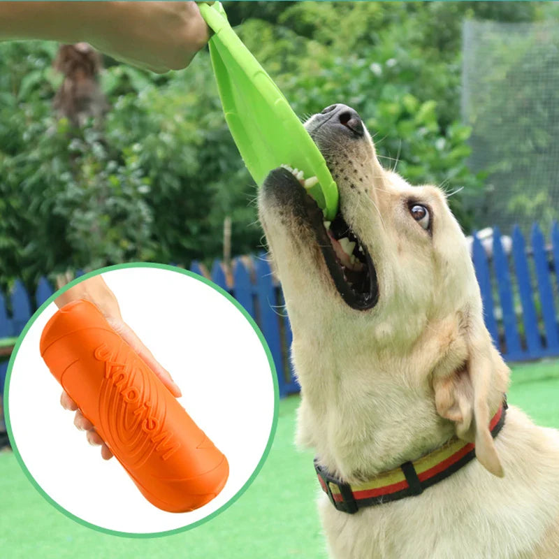 Frisbee pour chien | PowerFly