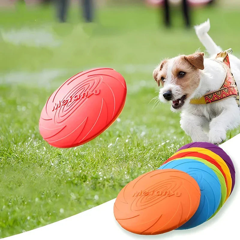 Frisbee pour chien | PowerFly