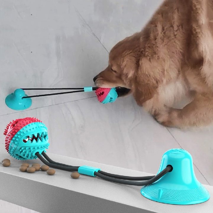Jouet ventouse pour chien | TuggyFun