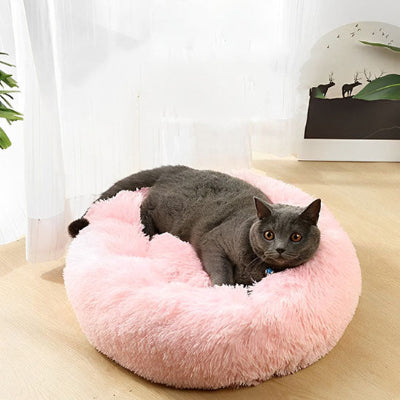 Coussin pour chat | Softywell™