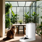 Distributeur croquette chat automatique