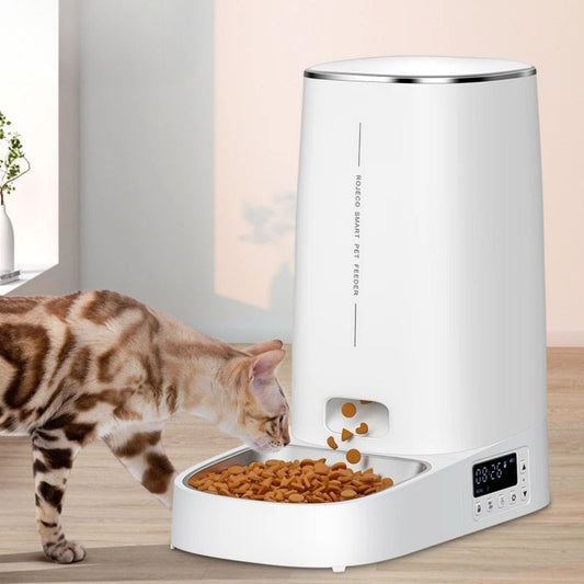 Distributeur croquette chat automatique
