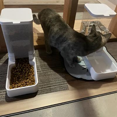 Distributeur croquettes chat - ensemble eau