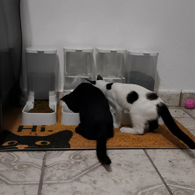 Distributeur croquettes chat - ensemble eau