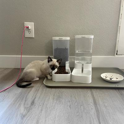 Distributeur croquettes chat - ensemble eau