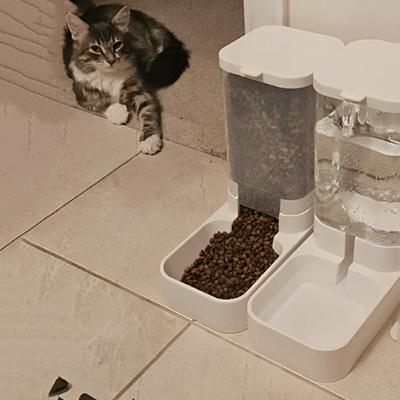 Distributeur croquettes chat - ensemble eau