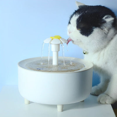 Fontaine à eau chat - Cascade