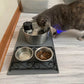 Fontaine a eau pour chat - capteur intégré