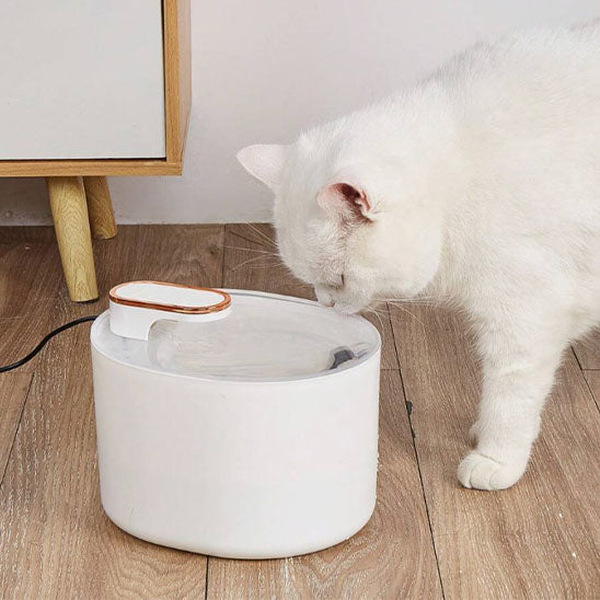 Fontaine à eau pour chat
