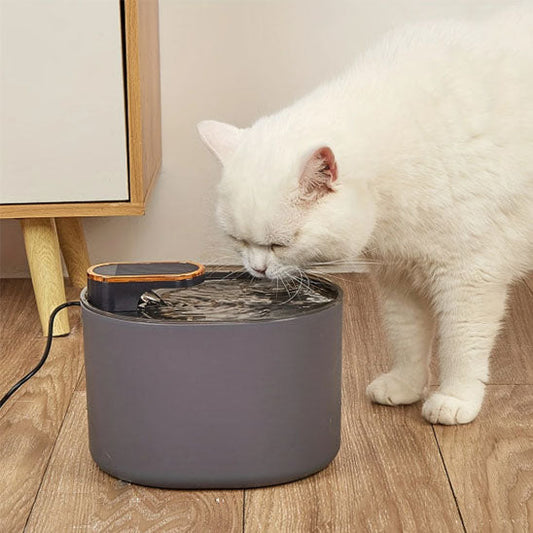 Fontaine à eau pour chat