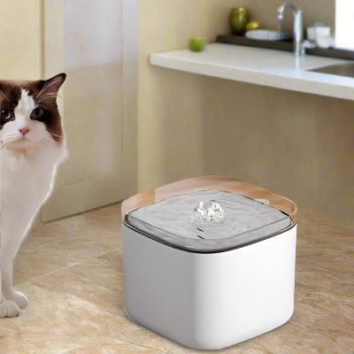 Fontaine à eau pour chat - électrique USB