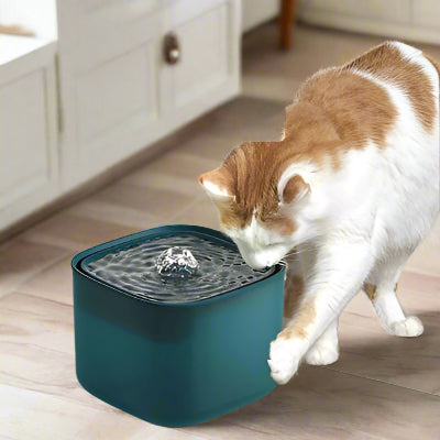 Fontaine à eau pour chat - électrique USB