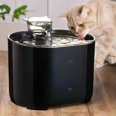Fontaine à eau pour chat - automatique