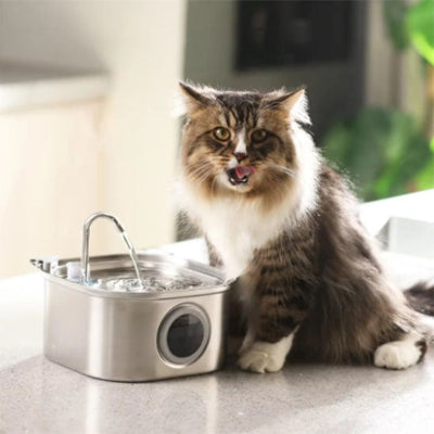 Fontaine à eau pour chat - acier inoxydable