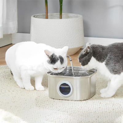 Fontaine à eau pour chat - acier inoxydable