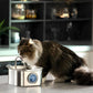 Fontaine à eau pour chat - acier inoxydable