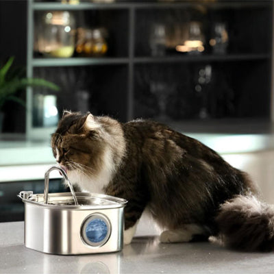 Fontaine à eau pour chat - acier inoxydable