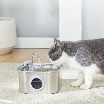 Fontaine à eau pour chat - acier inoxydable
