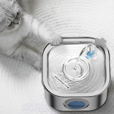 Fontaine à eau pour chat - acier inoxydable