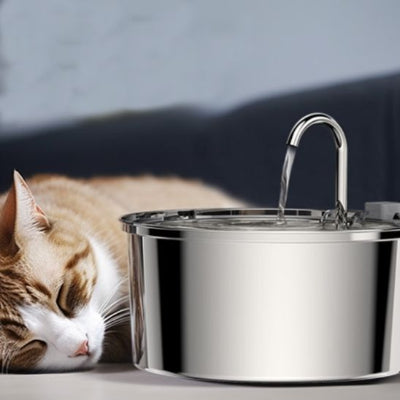 Fontaine à eau pour chat - 3,2L automatique