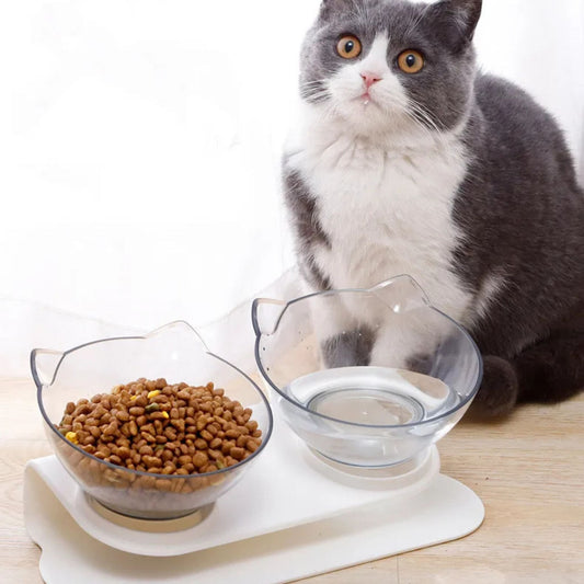 Gamelle chat