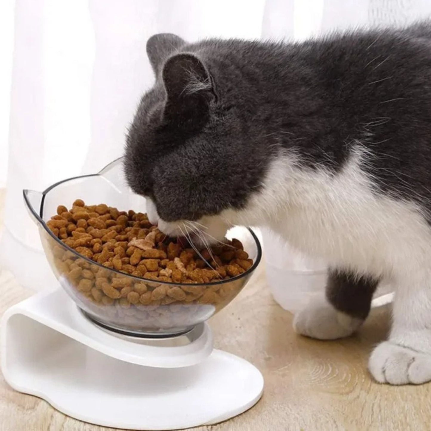 Gamelle chat