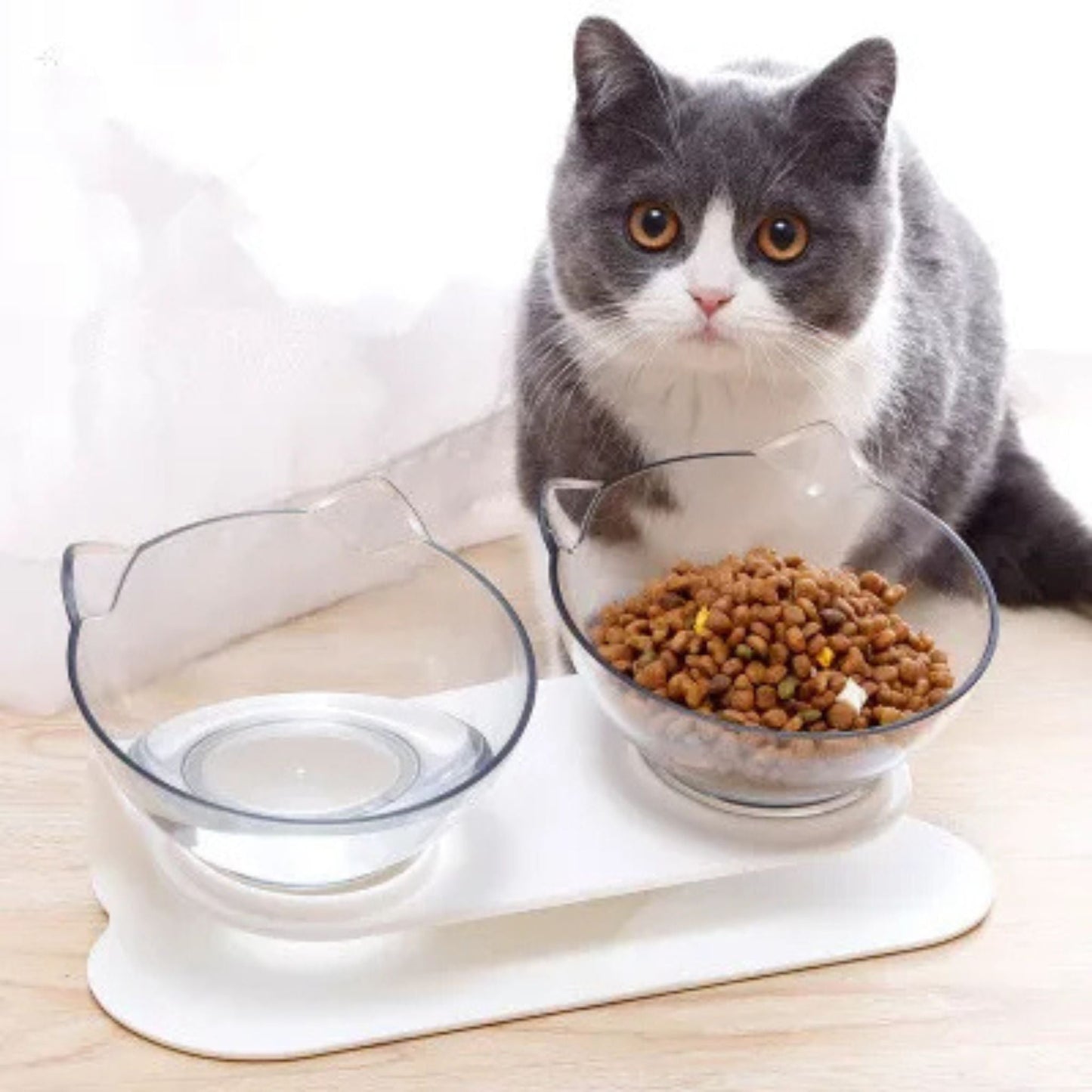 Gamelle chat