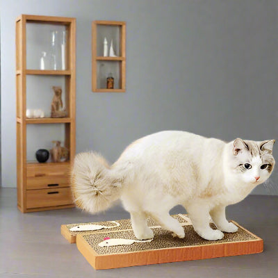Griffoir chat carton | Grif'joy™