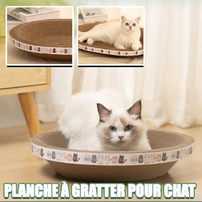 Griffoir chat | BasketGrif™
