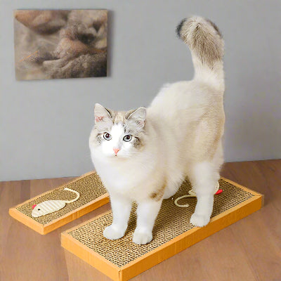 Griffoir chat carton | Grif'joy™